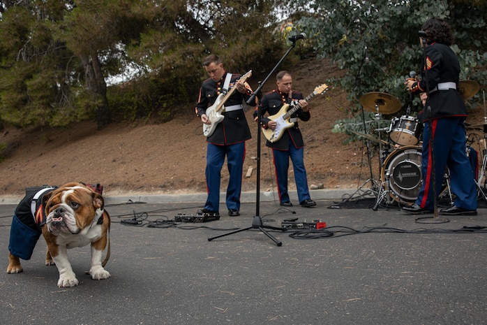 U.S. Marine Corps Pfc. Bruno, the mascot of Marine Corps Recruit Depot San Diego, Western Recruiting Region, poses in front Marine Band San Diego at KUSI-TV television station San Diego, July 10, 2024. The mascot's job is to boost morale, participate in outreach work and attend events and ceremonies. The Marine Band San Diego participated in a live news performance and interview to help promote their neighborhood activation concert in Little Italy. (U.S. Marine Corps photo by Cpl. Sarah M. Grawcock)