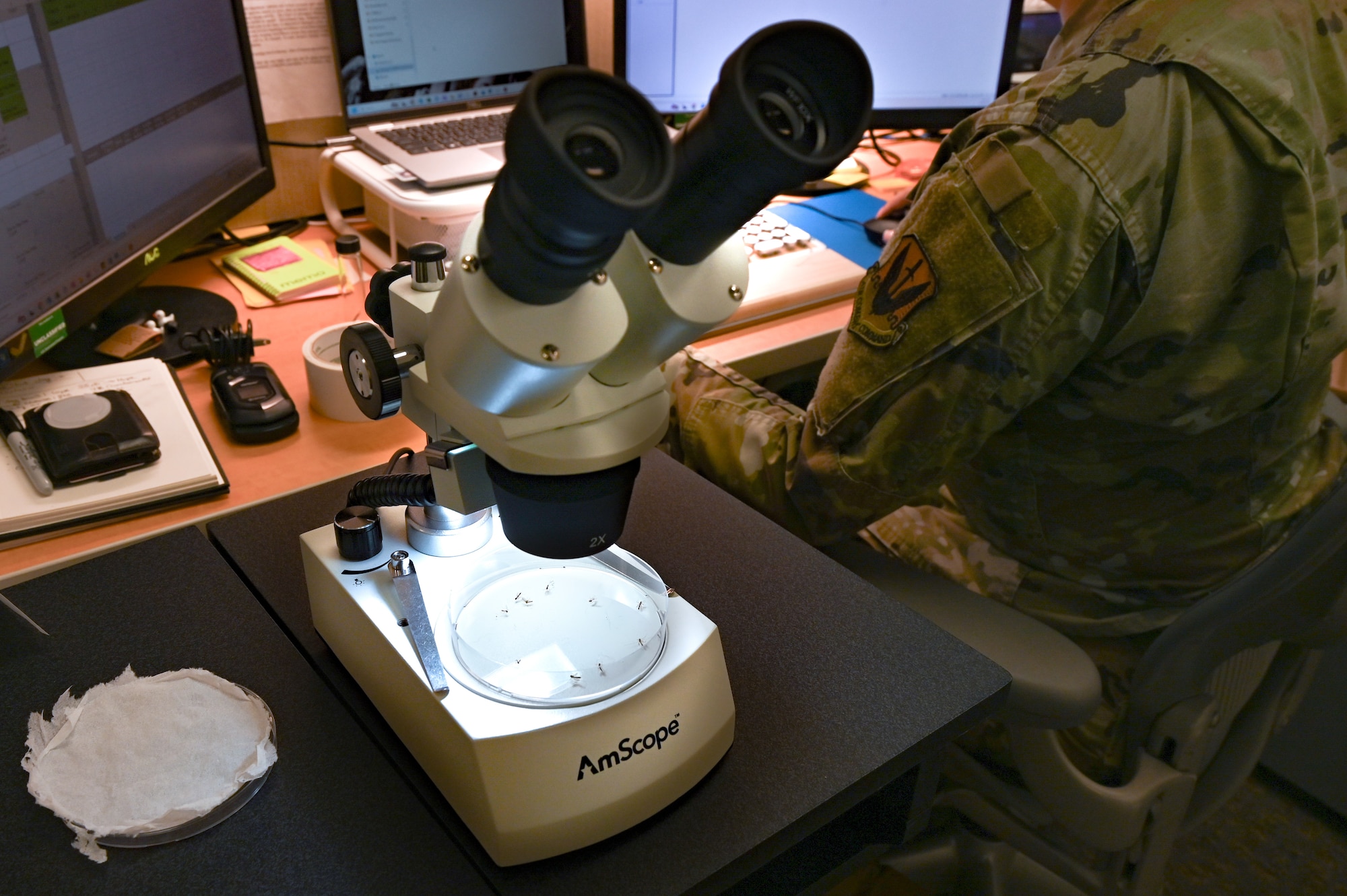 Airman researching on computer.