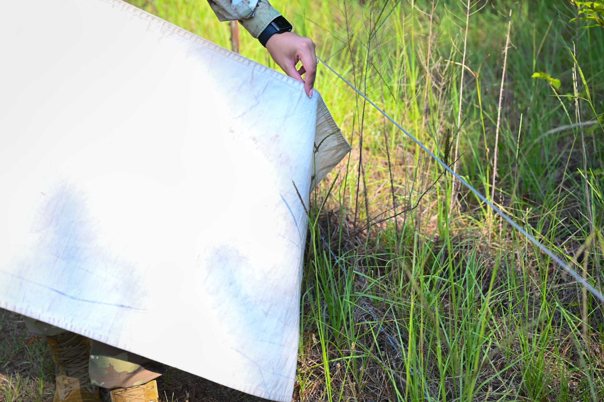 Close up on white cloth near grass.