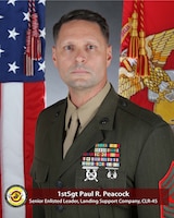 UNIT SENIOR ENLISTED LEADER, LANDING SUPPORT COMPANY, COMBAT LOGISTICS REGIMENT 45