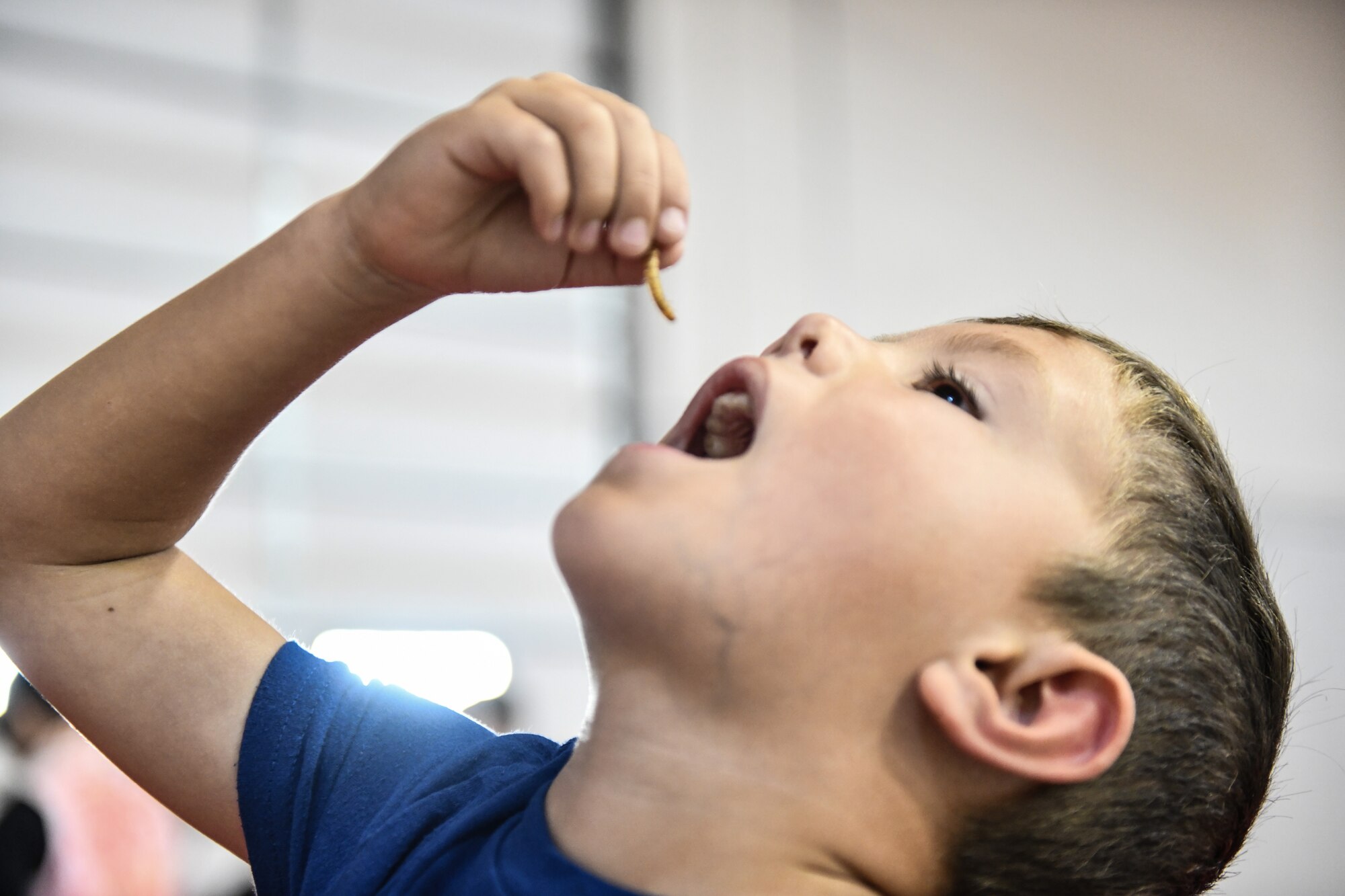 boy eats worm