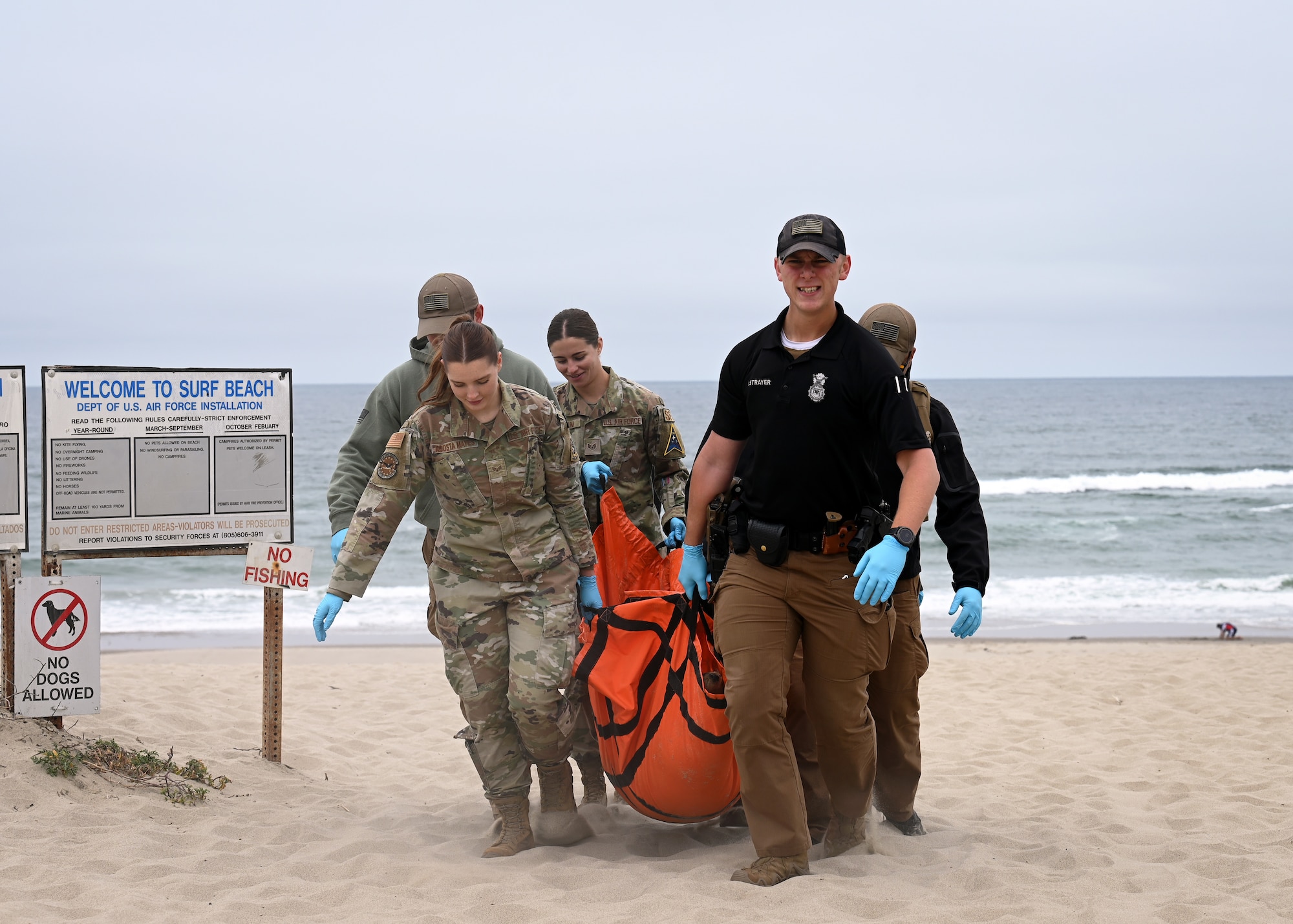 Rescuers carry a sea lion.