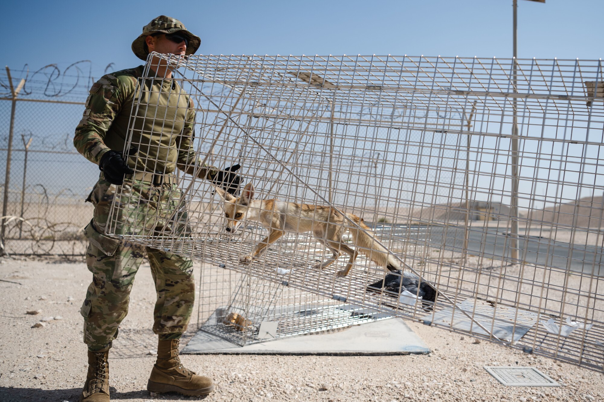 The only branches across the Department of Defense with dedicated entomology technicians are the Air Force and Navy. All others combine the career field with other specialty positions. (U.S. Air Force photo)