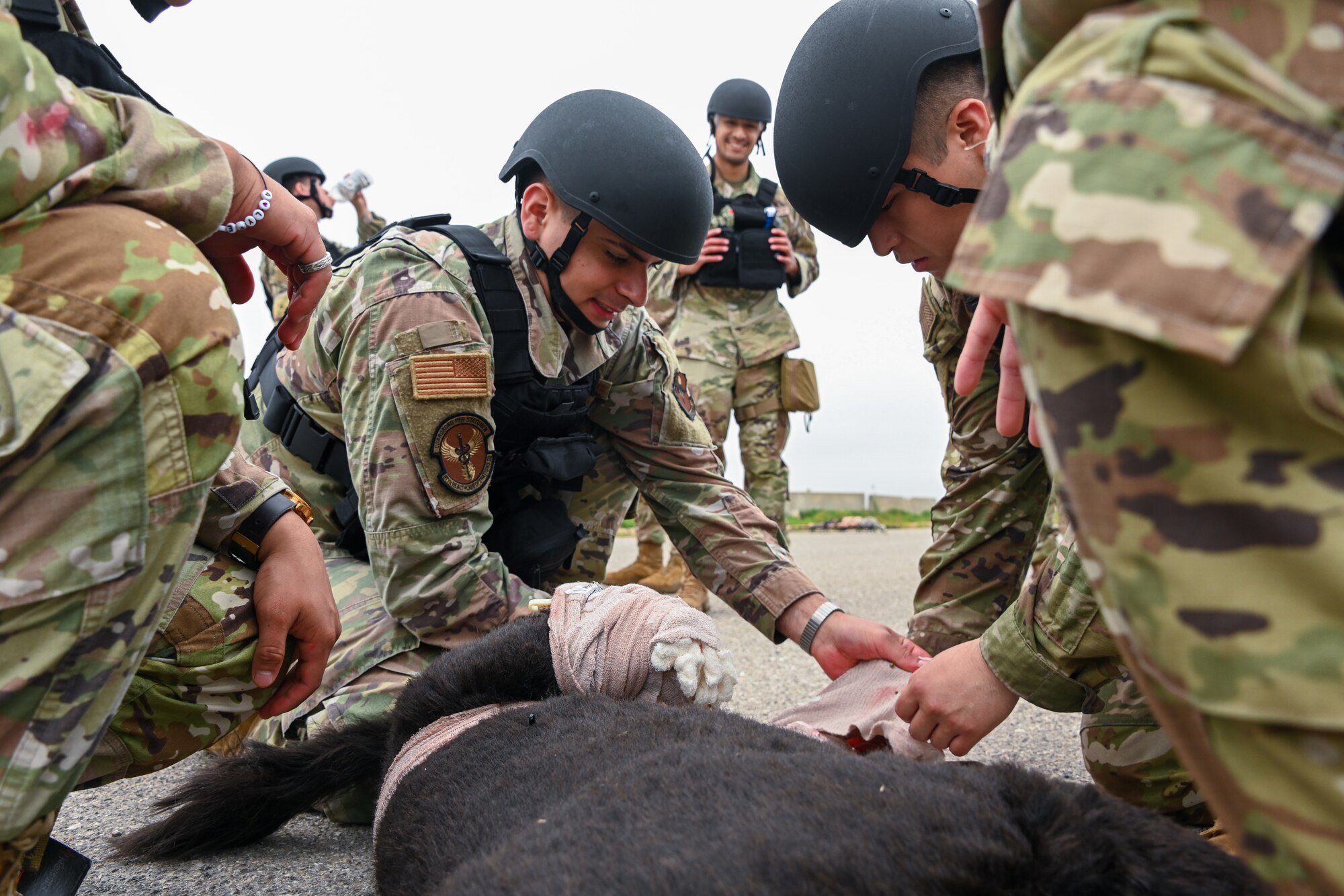 U.S. Air Force Staff Sgt. Gary Gutierrez, 97th Healthcare Operations Squadron medical laboratory technician, tends to wounds on a fake canine at Altus Air Force Base, Oklahoma, May 23, 2024. Gutierrez and other service members tested their new canine care skills, preparing to care for real animals. (U.S. Air Force photo by Airman Lauren Torres)
