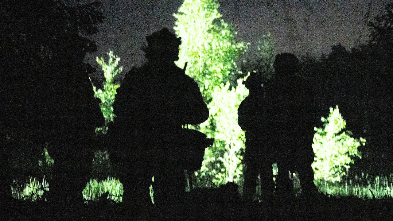 The outline of people can be seen walking through a forest at night.
