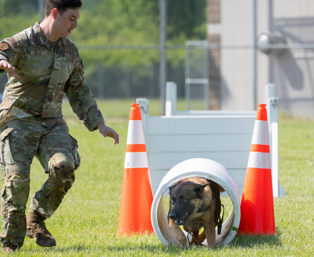 A dog comes out of a pipe as his handler runs alongside.