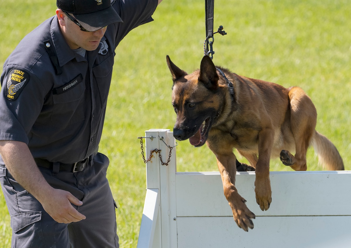 A state police officer has his dog jump over a hurdle.
