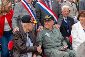Two seated veterans shake hands while surrounded by members in an audience.