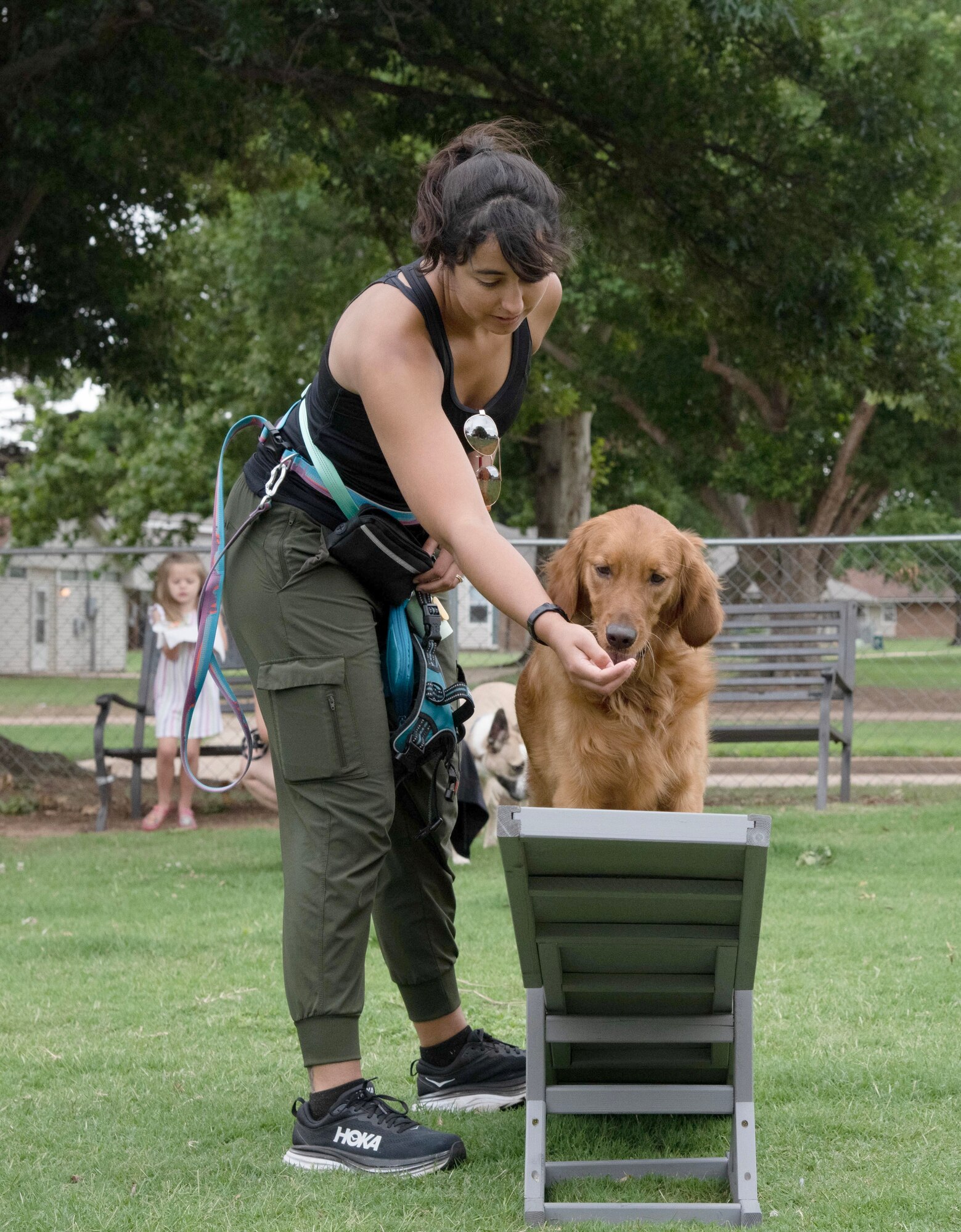Dog Park