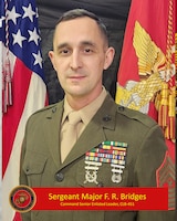 Command Senior Enlisted Leader, CLB-451