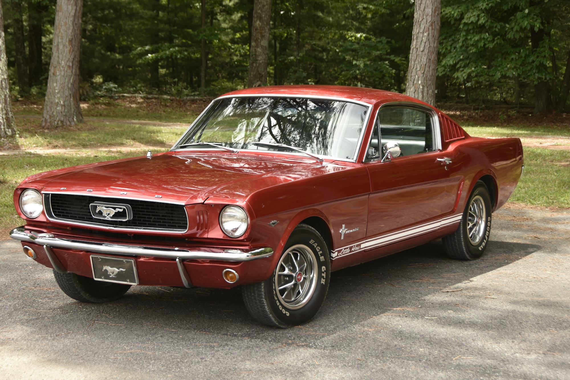 This Mustang was one of the numerous vehicles on display during the 2024 Arnold Air Force Base Company Grade Officers’ Council 2024 Auto Show & Burger Burn May 31, 2024, at Arnold AFB, Tenn. The event, hosted by the Arnold AFB CGOC, was held to raise money for the Arnold AFB Air Force Ball to be held later this year. (U.S. Air Force photo by Bradley Hicks)

Disclaimer: The CGOC is a private organization which is not part of the Department of Defense or any of its components and has no governmental status.