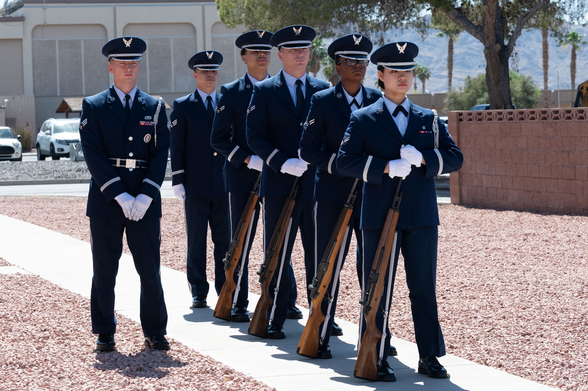 A group of Airmen with rifles stand at parade rest.