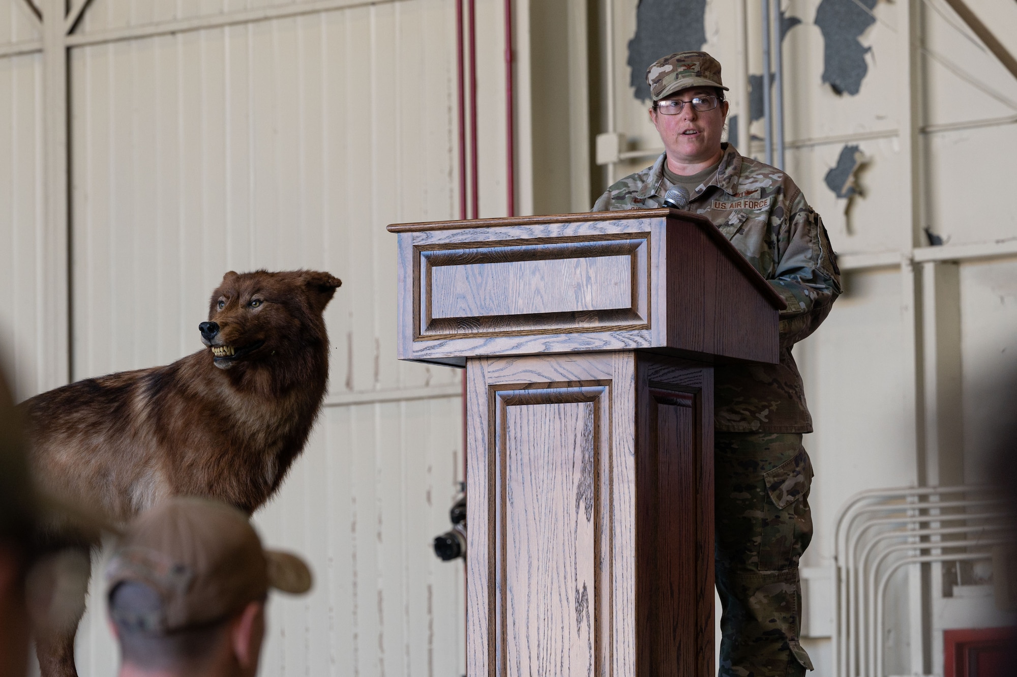 U.S. Air Force Col. Valerie OBrien, 8th Medical Group commander, speaks to attendees of the 8th MDG change of command ceremony.
