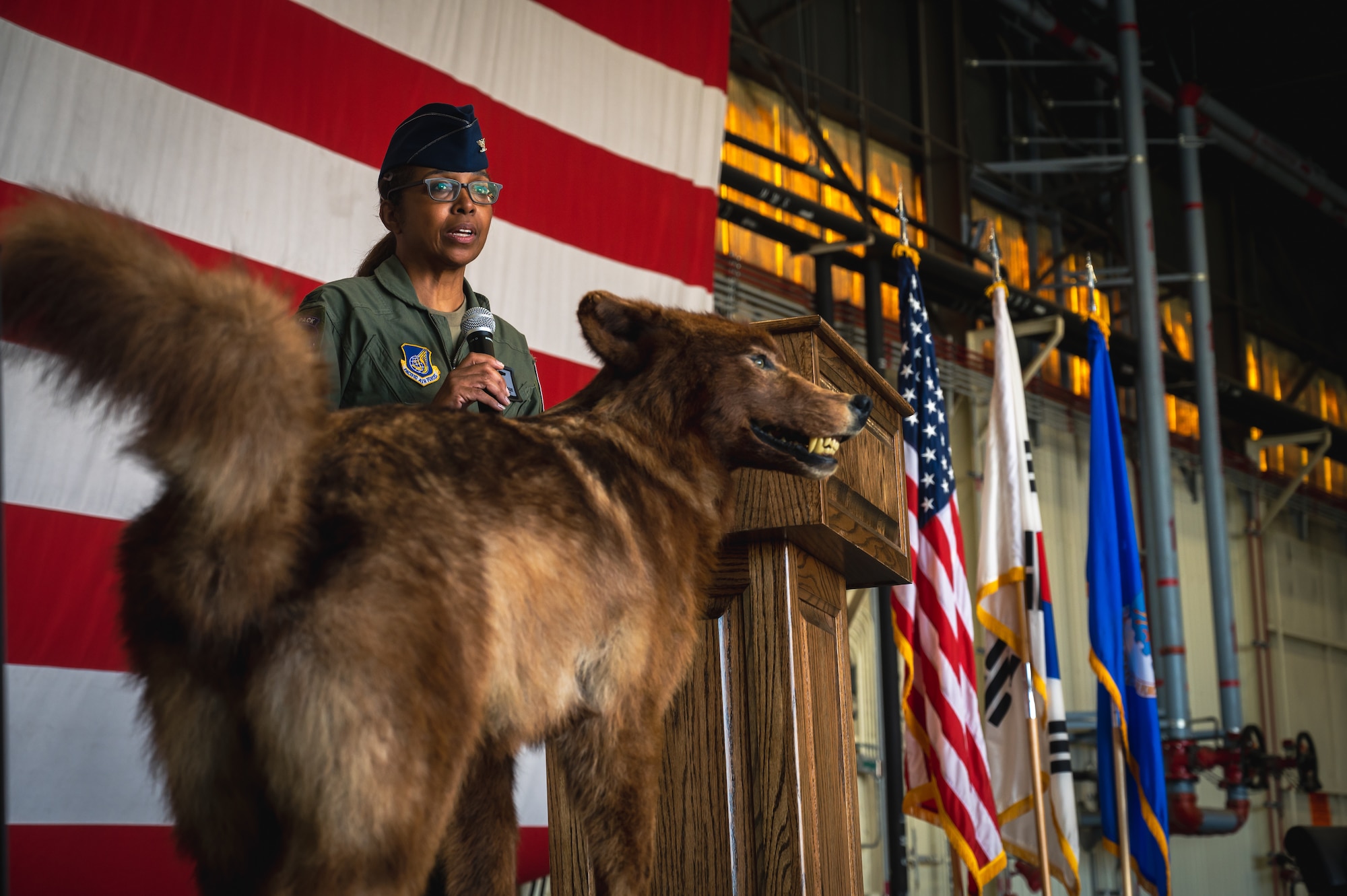 U.S. Air Force Col. Elizabeth Anderson-Doze, 8th Medical Group outgoing commander, addresses attendees during the 8th MDG change of command ceremony.