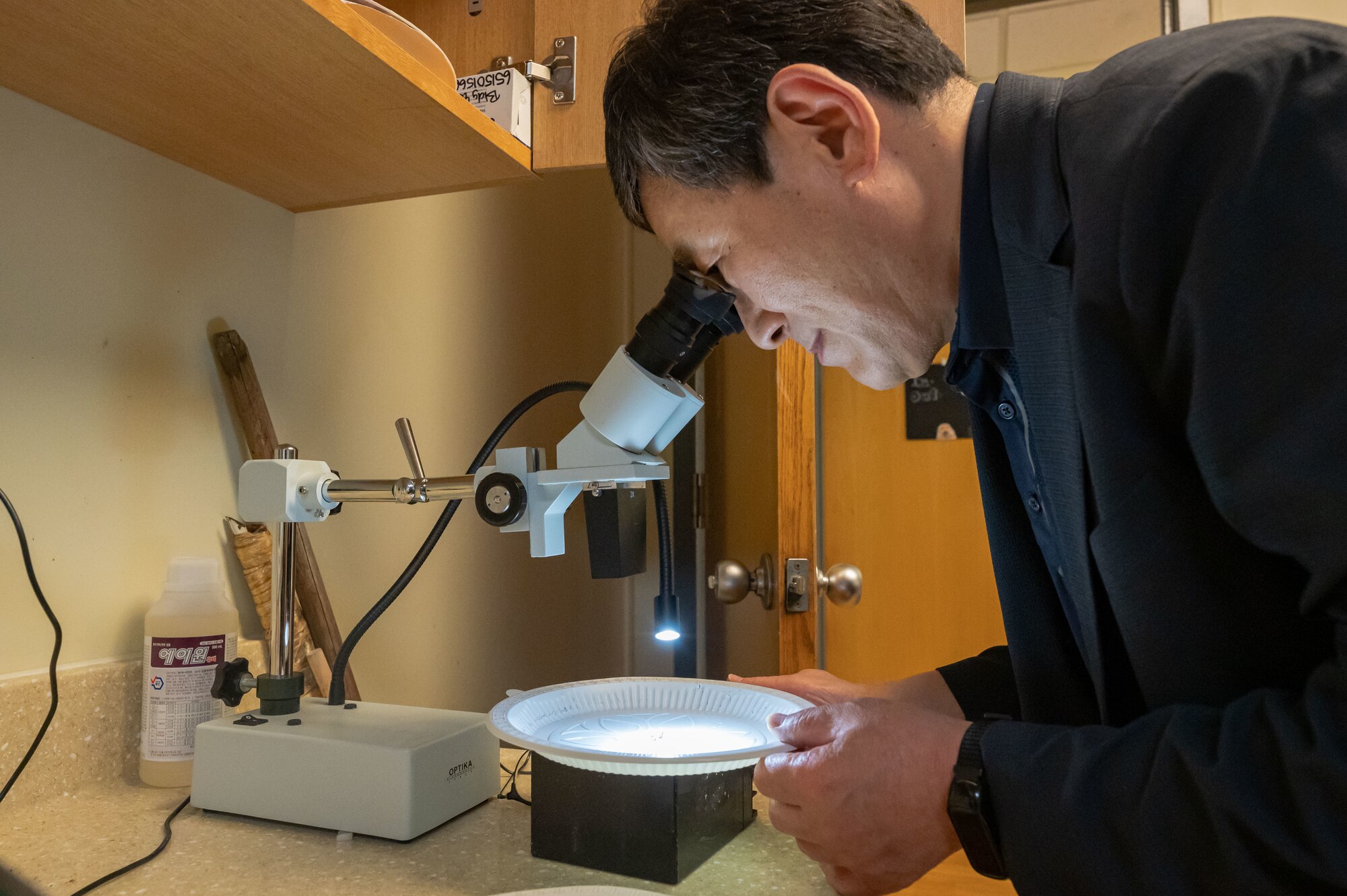 Kye Son Kim, 8th Operational Medical Readiness Squadron public health inspector, examines a male and female mosquito during mosquito surveillance season.