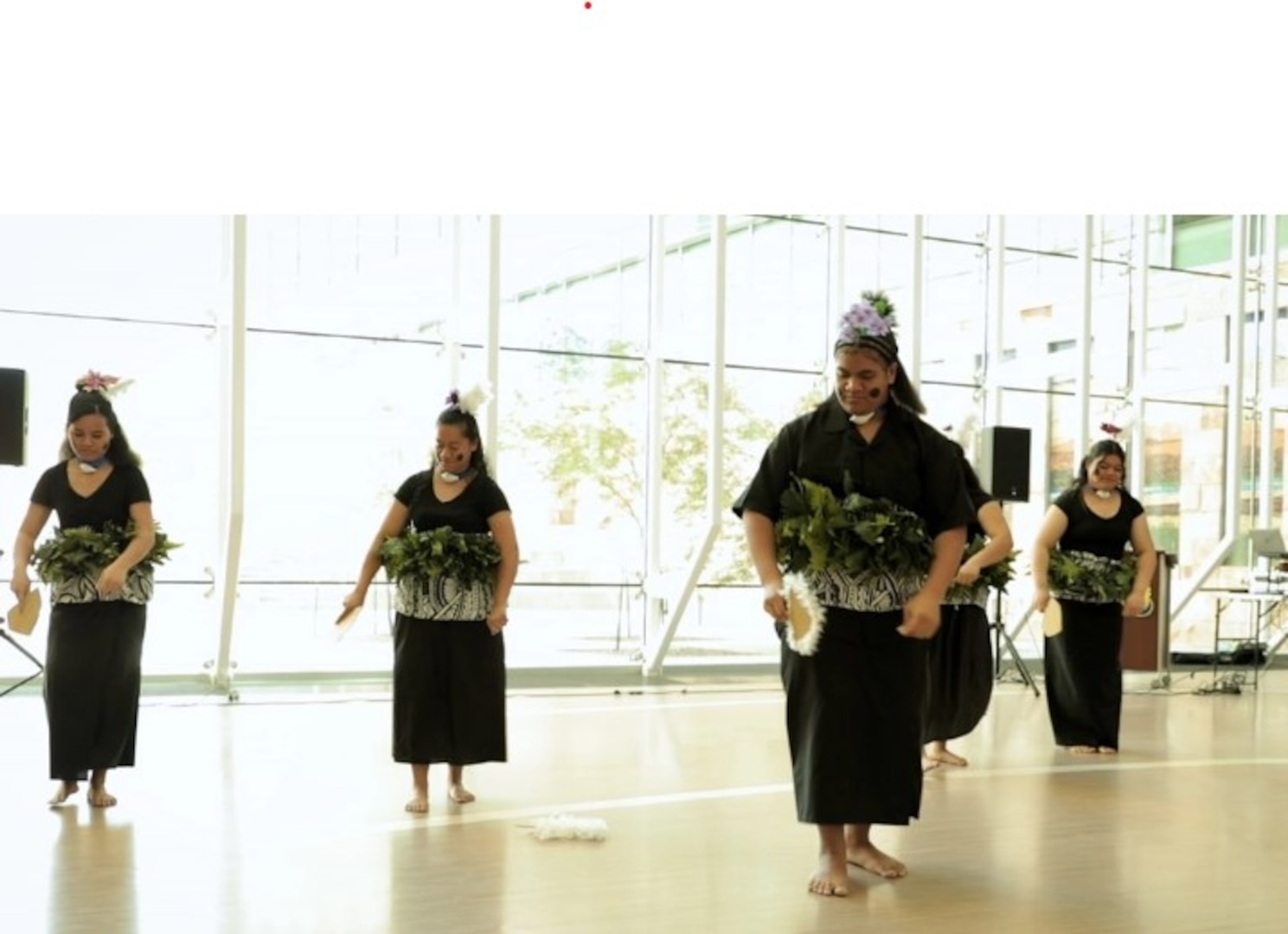Hawaiian Native dancers photo image