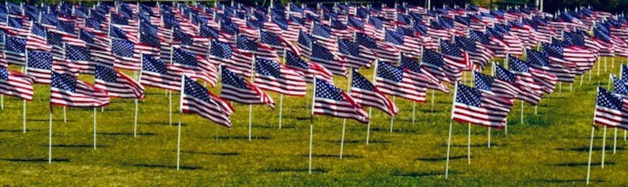 A field of American Flags. (Photo courtesy of Albert Valdez)