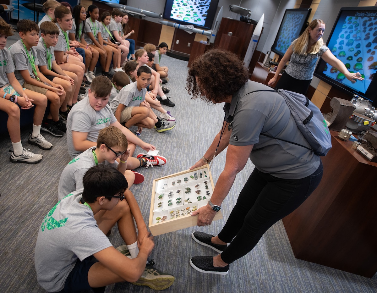 Students view a display of beetle species.