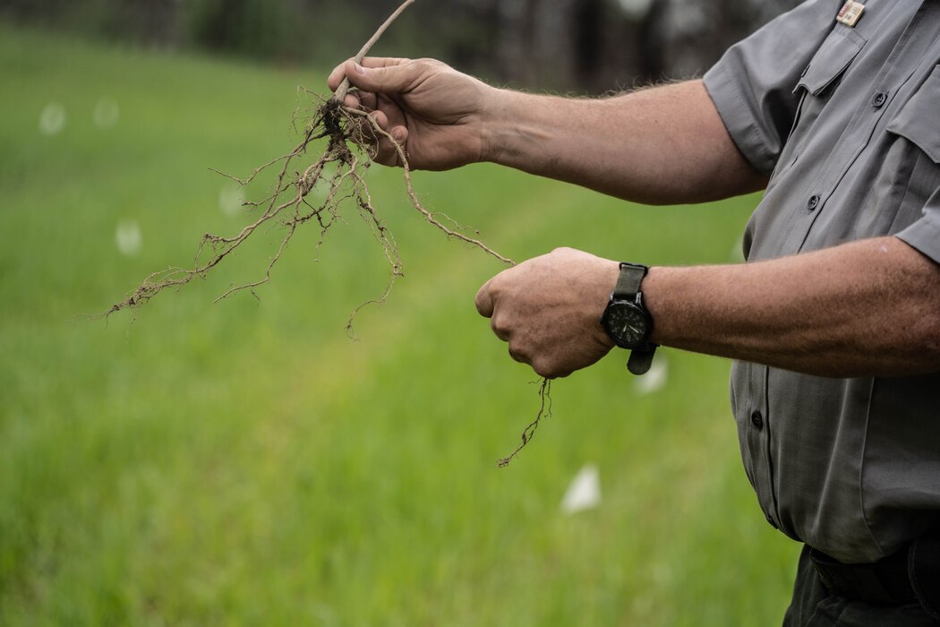 U.S. Army Corps of Engineers Louisville District Park Ranger, Jim Merkley, explains planting procedures for the American Chestnut seedling to the volunteers at Patoka Lake, Dubois, Ind., Apr. 26, 2024.