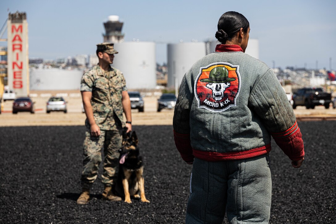 U.S. Marines with Headquarters and Service Battalion, Marine Corps Recruit Depot San Diego, conduct a K-9 military working dog demonstration to educators from Recruiting Stations Salt Lake City, Houston, Denver and Fort Worth as a part of 2024 Educators Workshop at Marine Corps Recruit Depot San Diego, California, May 28, 2024. Participants visit MCRD San Diego to observe recruit training and gain a better understanding about the transformation from recruits to United States Marines. (U.S. Marine Corps photo by Lance Cpl. Eric Valerio)