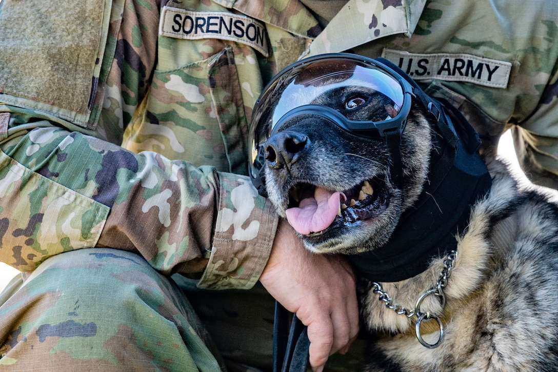 An Army K-9 wearing goggles leans on a soldier’s chest while posing for a picture.