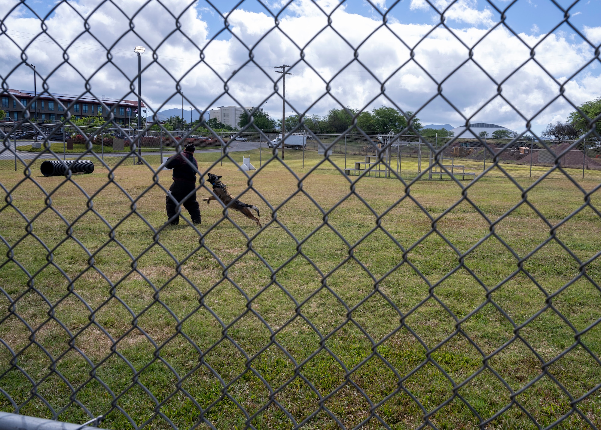 Photo of a U.S. Air Force military working dog demonstration