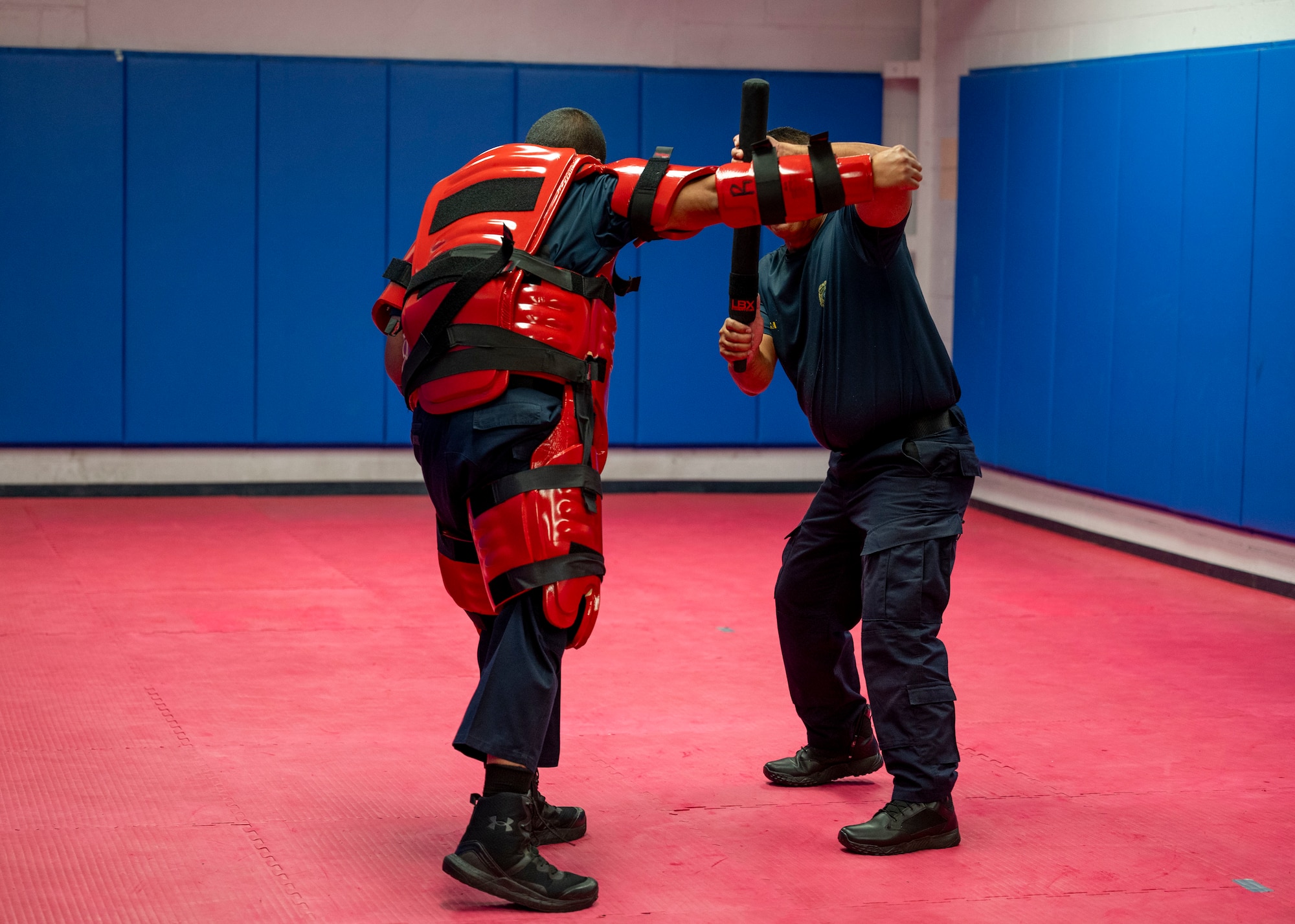 Photo of Police Instructors demonstrating non-lethal techniques