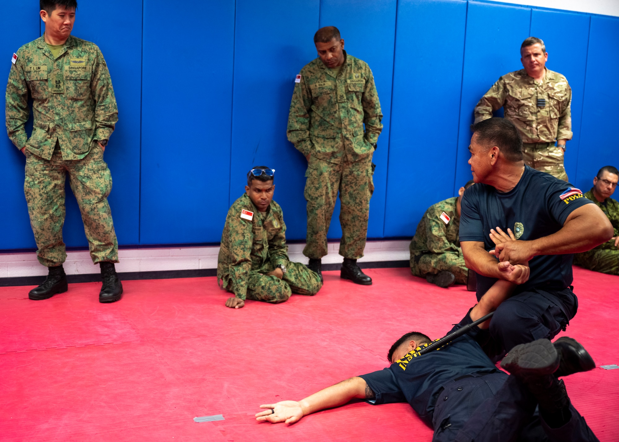 Photo of Police Instructors demonstrating non-lethal techniques