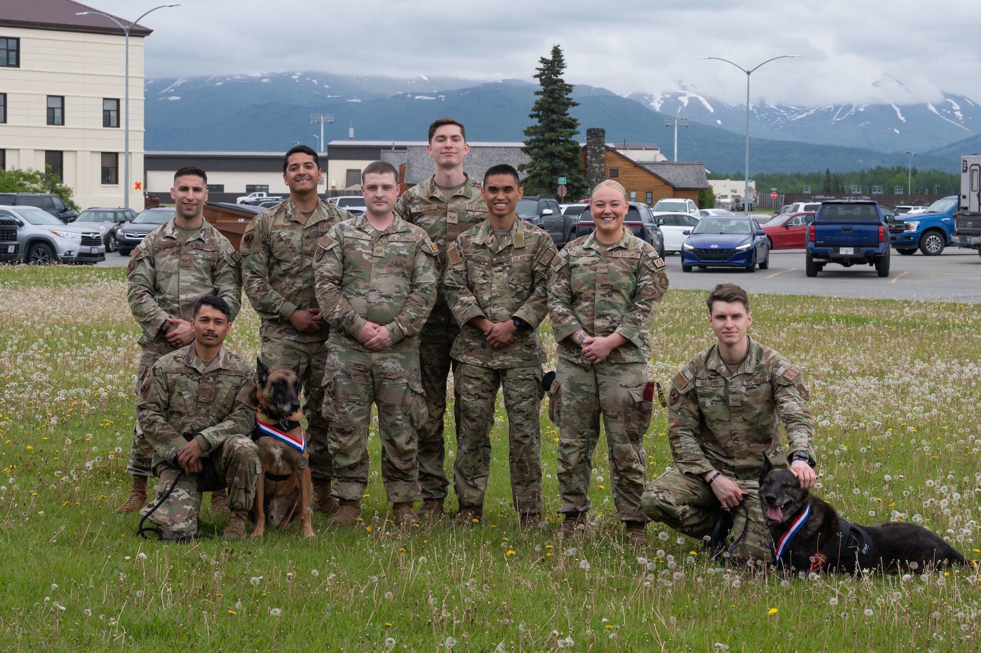 Military working dogs retire