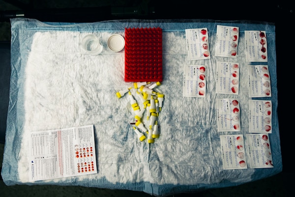 U.S. Navy Petty Officer 2nd Class Seth Robinson, a laboratory technician, and Hospitalman Wyatt Koenig, both with Combat Logistics Battalion 13, Combat Logistics Regiment 17, 1st Marine Logistics Group, verify blood types to establish the first Role II medical field hospital on Palau during Exercise Valiant Shield 24 at Camp Katuu, Palau, June 7, 2024. Valiant Shield enables real-world proficiency in sustaining joint forces through detecting, locating, tracking and engaging units at sea, in the air, on land and in cyberspace in response to a range of mission areas. I Marine Expeditionary Force consistently engages in exercises with allies and partners across the Indo-Pacific region to bolster regional security, maintain access and advance a free and open Indo-Pacific. Robinson is a native of Hurst, Texas, and Koenig is a native of Santee, California. (U.S. Marine Corps photo illustration by Sgt. Nello Miele)