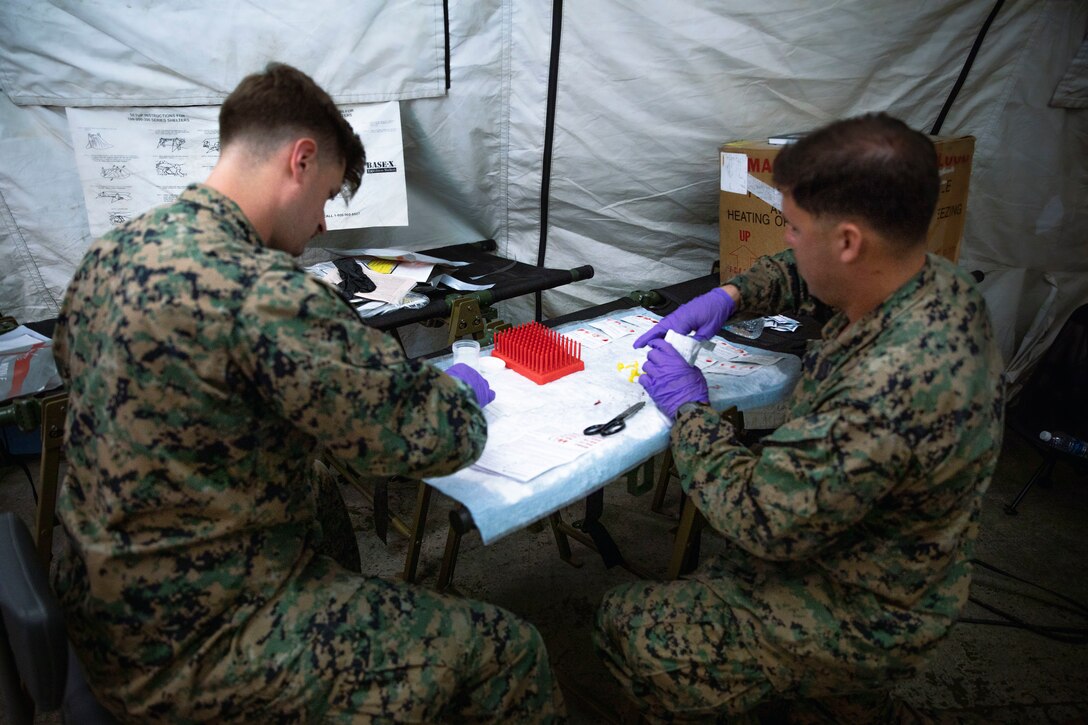 U.S. Navy Petty Officer 2nd Class Seth Robinson, left, a laboratory technician, and Hospitalman Wyatt Koenig, both with Combat Logistics Battalion 13, Combat Logistics Regiment 17, 1st Marine Logistics Group, verify blood types to establish the first Role 2 medical field hospital on Palau during Exercise Valiant Shield 24 at Camp Katuu, Palau, June 7, 2024. Valiant Shield enables real-world proficiency in sustaining joint forces through detecting, locating, tracking and engaging units at sea, in the air, on land and in cyberspace in response to a range of mission areas. I Marine Expeditionary Force consistently engages in exercises with allies and partners across the Indo-Pacific region to bolster regional security, maintain access and advance a free and open Indo-Pacific. Robinson is a native of Hurst, Texas, and Koenig is a native of Santee, California. (U.S. Marine Corps photo by Sgt. Nello Miele)