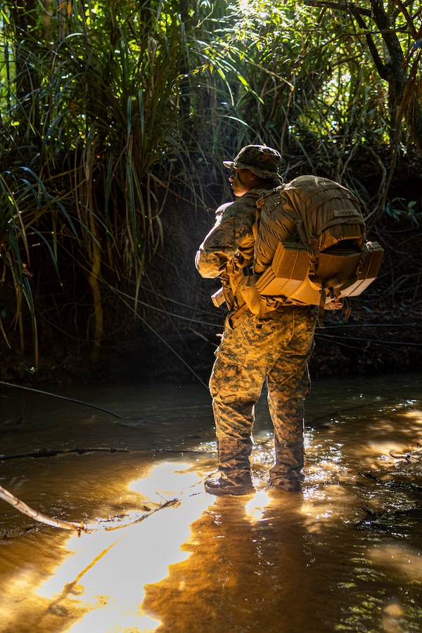 U.S. Marine Corps Lance Cpl. John Eskridge, an M3E1 multipurpose anti-armor anti-personnel weapon system gunner with Fox Company, 2nd Battalion, 5th Marine Regiment (Reinforced), Marine Rotational Force – Darwin 24.3, patrols through the jungle at Combat Training Centre, Tully, QLD, Australia, June 11, 2024. The Marines of Fox Co. participate in Tully Combat Training Centre’s Regional Warfighter Exercise in order to increase lethality in a jungle environment, further develop interoperability with the Australian Defence Force, and increase readiness for various operations in the Indo-Pacific region. Eskridge is a native of Indiana. (U.S. Marine Corps photo by Cpl. Juan Torres)
