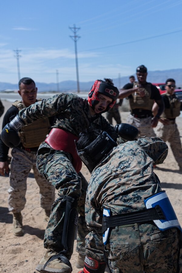 U.S. Marines participate in free sparring during a culminating event for Marine Corps Martial Arts Instructor Course 82-24 at Marine Corps Air-Ground Combat Center, Twentynine Palms, California, June 7, 2024. The MCMAIC certifies Marines to instruct and monitor Marine Corps Martial Arts Program training and advance Marines in the program while testing and strengthening their decision making, warfighting, and leadership skills. (U.S. Marine Corps photo by Cpl. Josiah Jorgensen)
