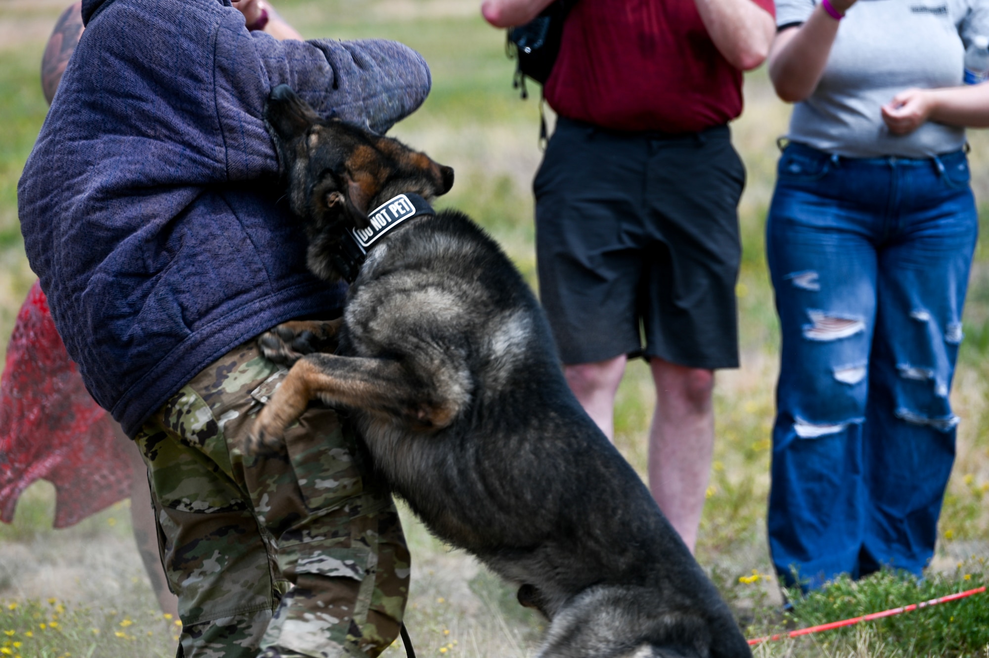 MWD