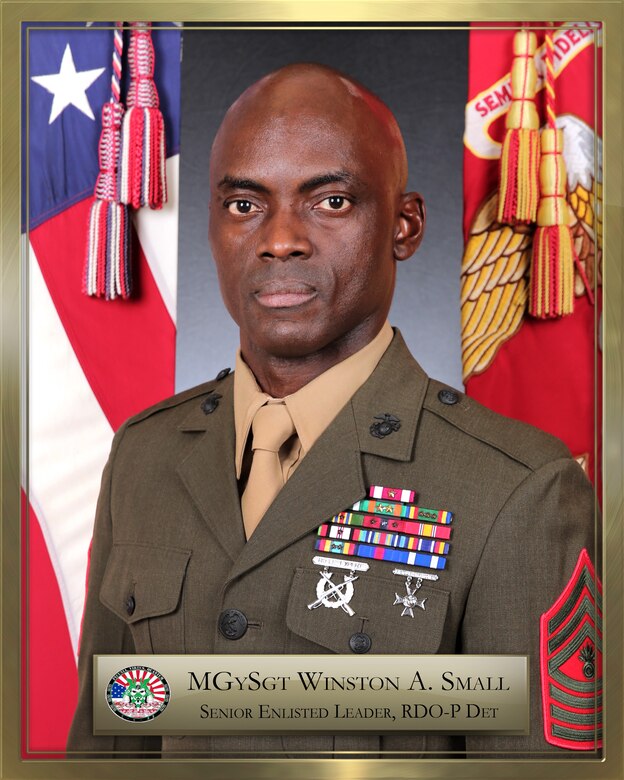 Master Gunnery Sergeant Winston A. Small > 3d Marine Logistics Group >  Leader's bio