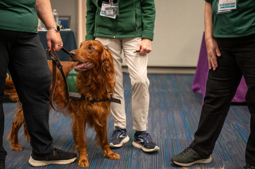 PHOTO OF CRISIS RESPONSE DOG.