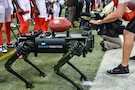 Army robotic dog holds a football.