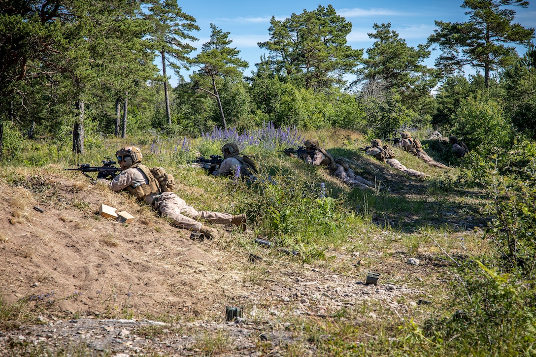 U.S. Marines with 2nd Assault Amphibian Battalion, 2nd Marine Division, II Marine Expeditionary Force, aim down their sights during an integrated company level live-fire and maneuver range during exercise Baltic Operations (BALTOPS) 24 at Gotland, Sweden, June 17, 2024. BALTOPS 24 is the premier maritime-focused exercise in the Baltic Region. The exercise, led by U.S. Naval Forces Europe-Africa and executed by Naval Striking and Support Forces NATO, provides a unique training opportunity to strengthen combined response capabilities critical to preserving freedom of navigation and security in the Baltic Sea. (U.S. Marine Corps photo by Sgt. Andy O. Martinez)