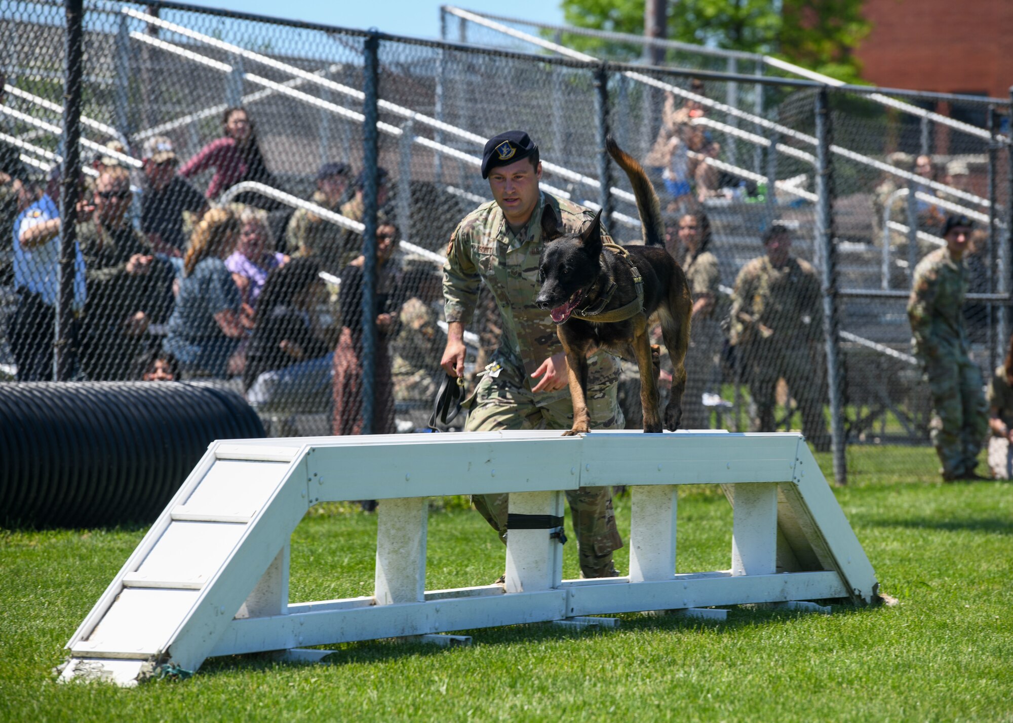 Man running with dog.