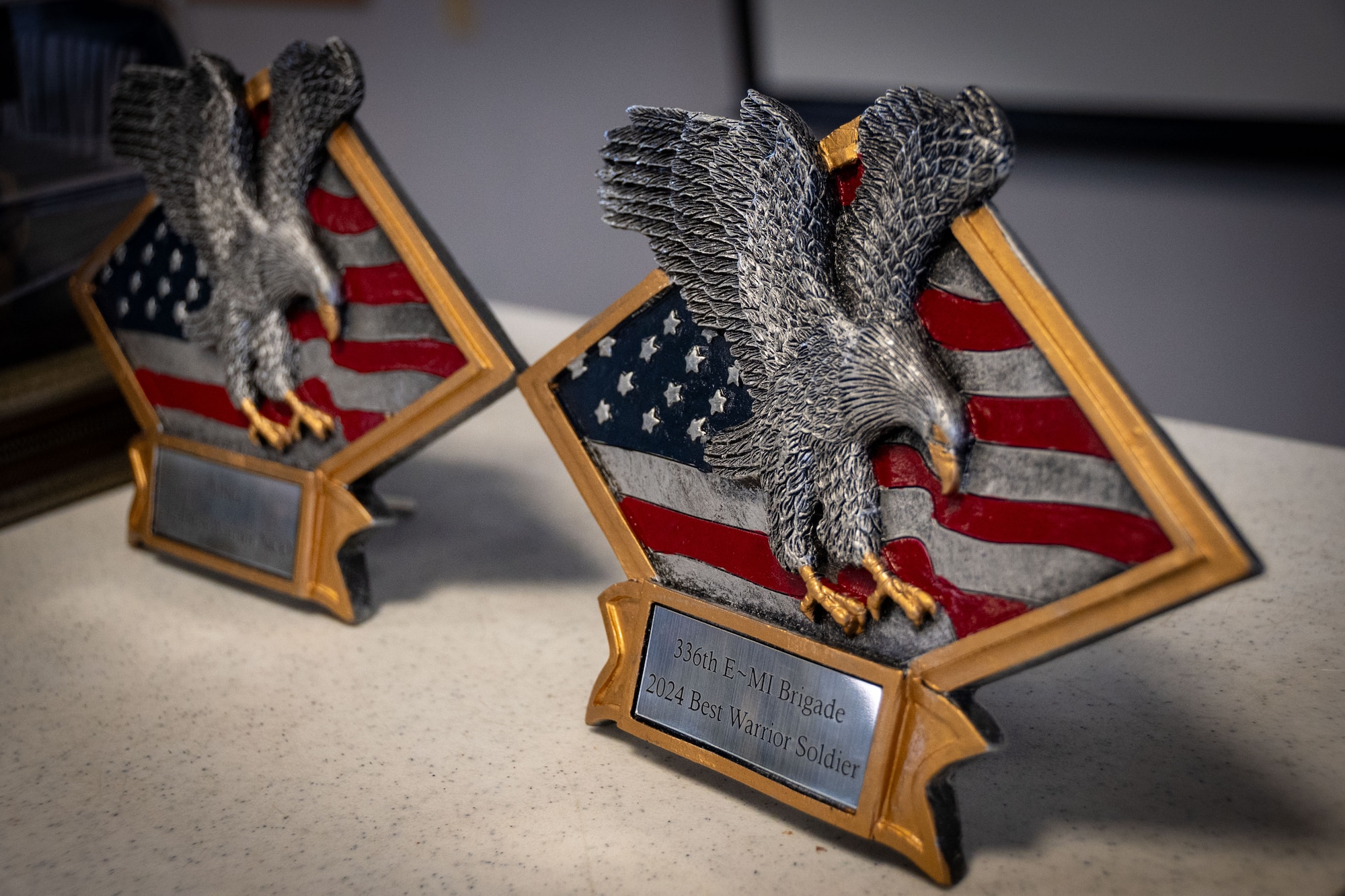 336th Expeditionary Military Intelligence Brigade 2024 Best Warrior Soldier and 2024 Best Warrior NCO awards are on display during the Best Warrior Competition awards ceremony at Joint Base McGuire-Dix-Lakehurst, N.J., Feb. 22, 2024. Participants underwent rigorous evaluations by seasoned leaders who are subject matter experts in their respective fields. The assessments encompassed a wide range of military skills tests, including physical fitness, weapons knowledge, marksmanship, land navigation, general military knowledge and more. (U.S. Air Force photo by 2nd Lt. Alexis Kula)