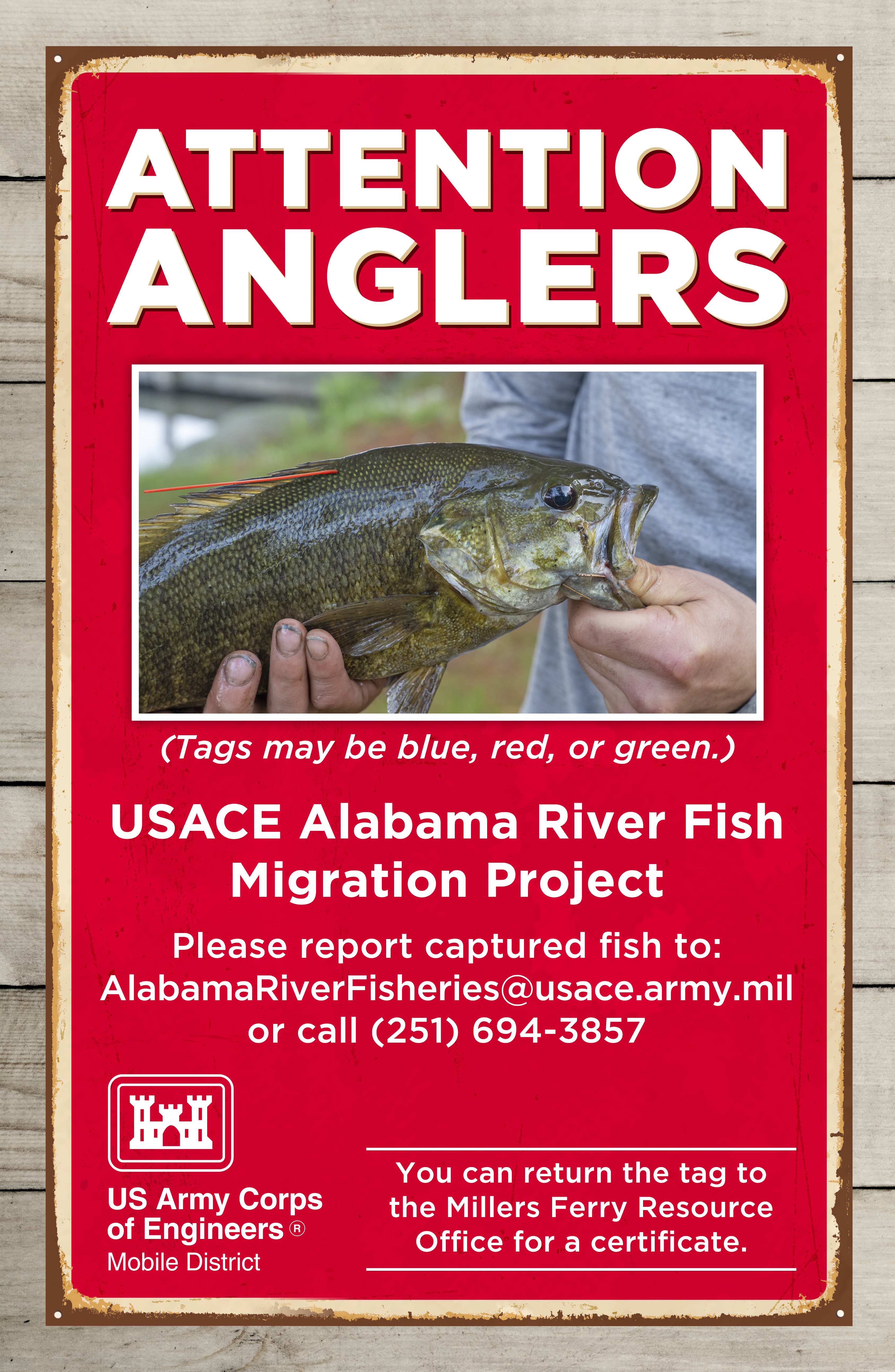 Mobile District launches fish tagging study in Lower Alabama River 