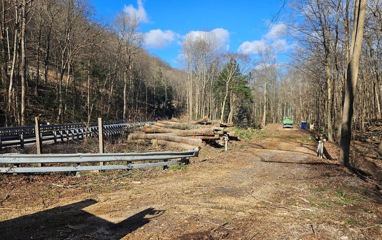 A stack of tree trunks is seen piled beside a small road access. Construction equipment can be seen in the background.