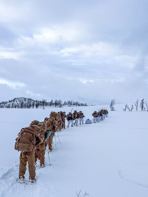 U.S. Navy Seabees assigned to Naval Mobile Construction Battalion (NMCB) 11 and Royal Norwegian Navy sailors assigned to the Ramsund Naval Base’s Force Protection Company hike to their campsite during a cold weather survival training exercise in the Harstad municipality of Norway, Feb. 21, 2024. NMCB 11, assigned to the 22 Naval Construction Regiment, is forward deployed across the U.S. Naval Forces Europe-Africa area of operations in support of U.S. 6th Fleet Maritime Operations to defend U.S., Allied and partner interests. (Courtesy Photo)