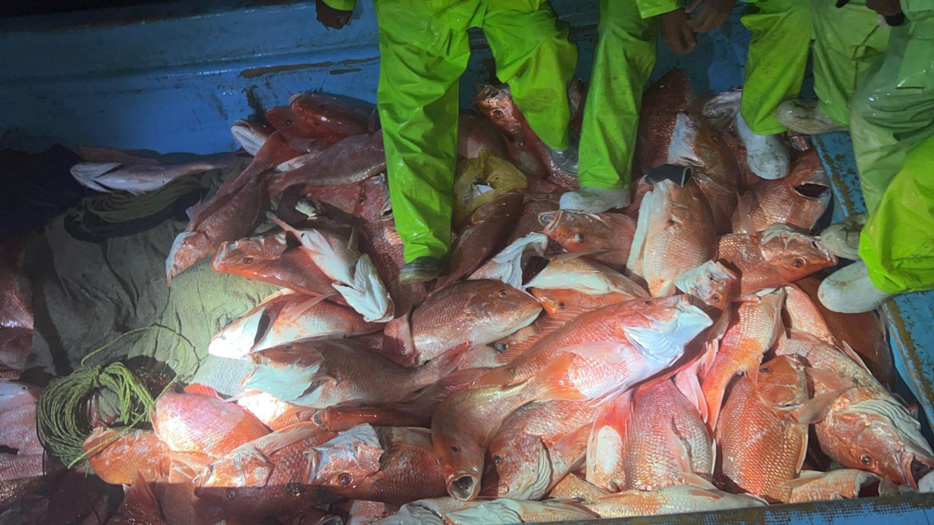 Red Snapper Fishing in Texas