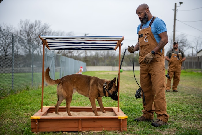 Military Working Dog trainers assigned to the 341st Training Squadron introduce K-9’s awaiting training assignment to a newly incorporated enrichment program on Feb. 21. 2024, JBSA-Lackland, Texas (U.S. Air Force Photo By Jonathan Cotto) The program focuses on optimizing MWD performance by providing significant enrichment for their mental, physical, and psychological development. The mission of the 341st Training Squadron is to provide trained military working dogs and handlers for the Department of Defense, other government agencies and allies through training, logistical, veterinary support and research and development for security efforts worldwide. . (U.S. Air Force Photo by Jonathan Cotto)