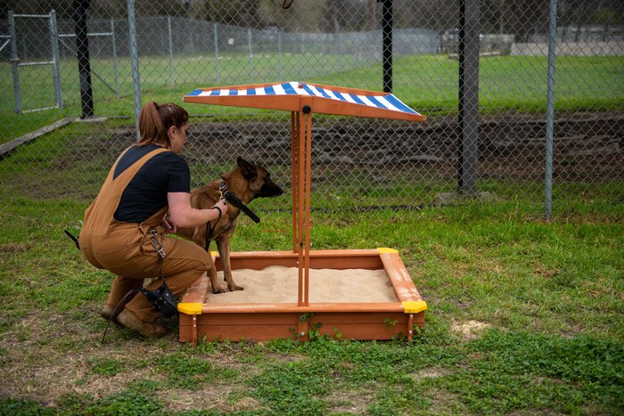 Military Working Dog trainers assigned to the 341st Training Squadron introduce K-9’s awaiting training assignment to a newly incorporated enrichment program on Feb. 21. 2024, JBSA-Lackland, Texas (U.S. Air Force Photo By Jonathan Cotto) The program focuses on optimizing MWD performance by providing significant enrichment for their mental, physical, and psychological development. The mission of the 341st Training Squadron is to provide trained military working dogs and handlers for the Department of Defense, other government agencies and allies through training, logistical, veterinary support and research and development for security efforts worldwide. . (U.S. Air Force Photo by Jonathan Cotto)