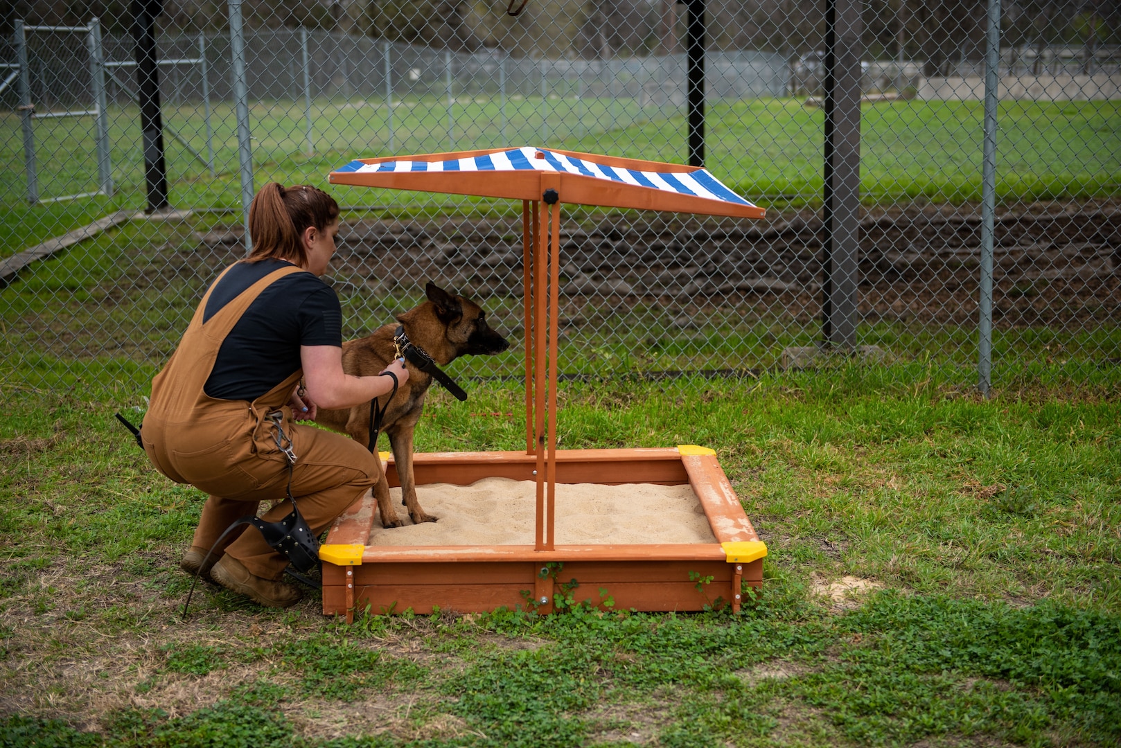 Military Working Dog trainers assigned to the 341st Training Squadron introduce K-9’s awaiting training assignment to a newly incorporated enrichment program on Feb. 21. 2024, JBSA-Lackland, Texas (U.S. Air Force Photo By Jonathan Cotto) The program focuses on optimizing MWD performance by providing significant enrichment for their mental, physical, and psychological development. The mission of the 341st Training Squadron is to provide trained military working dogs and handlers for the Department of Defense, other government agencies and allies through training, logistical, veterinary support and research and development for security efforts worldwide. . (U.S. Air Force Photo by Jonathan Cotto)