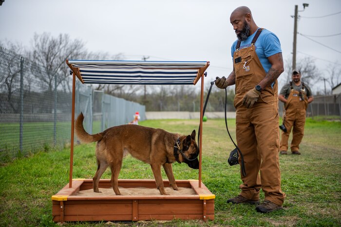 Military Working Dog trainers assigned to the 341st Training Squadron introduce K-9’s awaiting training assignment to a newly incorporated enrichment program on Feb. 21. 2024, JBSA-Lackland, Texas (U.S. Air Force Photo By Jonathan Cotto) The program focuses on optimizing MWD performance by providing significant enrichment for their mental, physical, and psychological development. The mission of the 341st Training Squadron is to provide trained military working dogs and handlers for the Department of Defense, other government agencies and allies through training, logistical, veterinary support and research and development for security efforts worldwide. . (U.S. Air Force Photo by Jonathan Cotto)