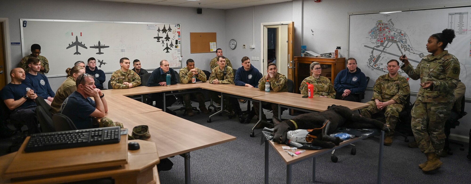 U.S. Airmen and British civilians from the 100th CES, 100th Security Forces Squadron and RAF Lakenheath’s 48th Security Forces Squadron attended the course for the purpose of gaining new knowledge and skills to help injured military working dogs