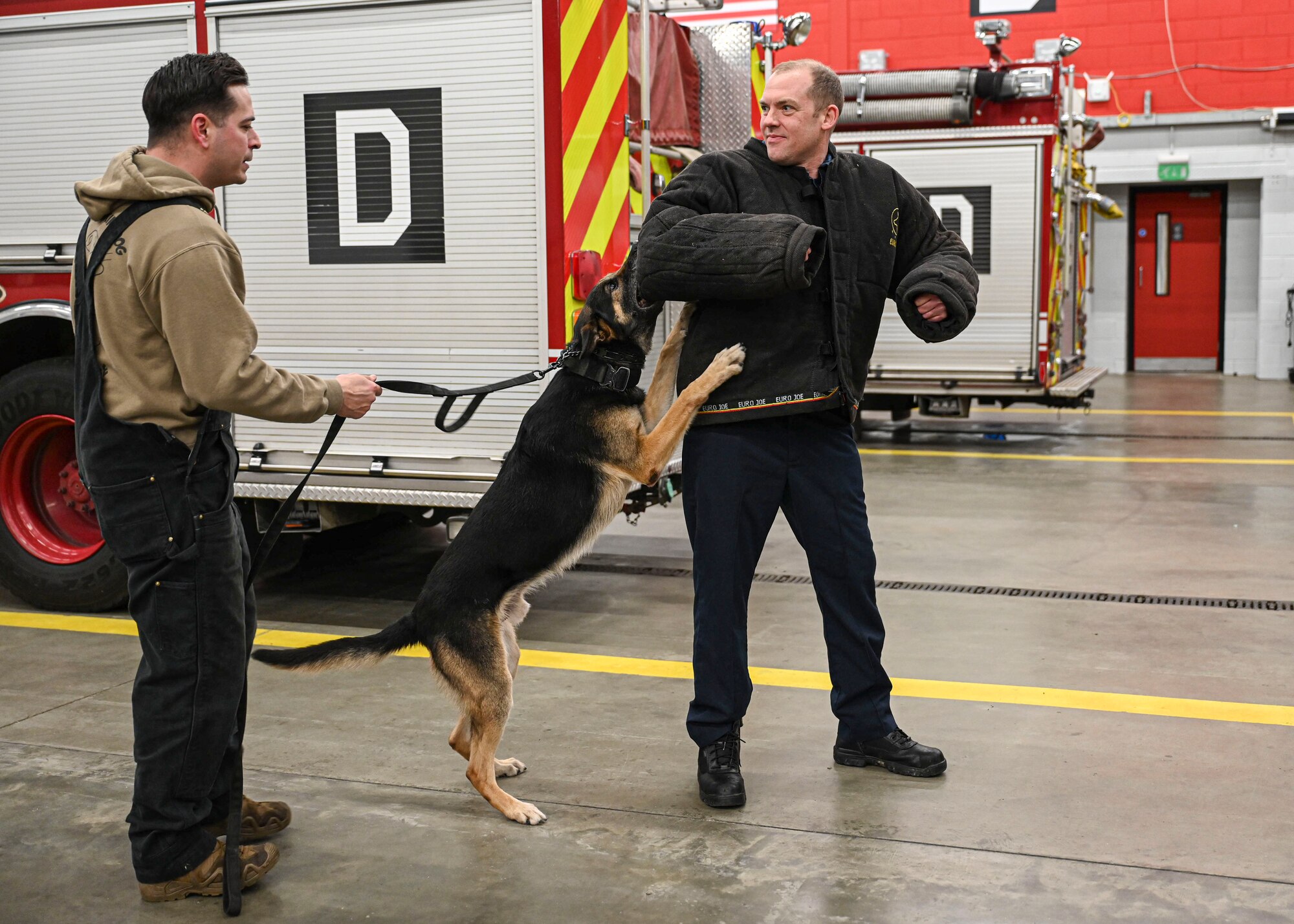 Military working dogs provide a psychological deterrent, security, detection, and alerting capabilities in the tri-base area.